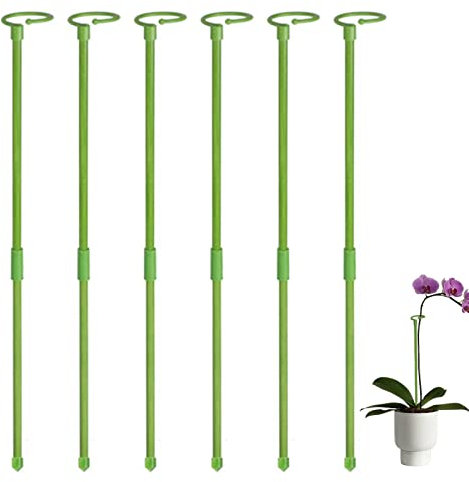 Tuteur Plant_e en Fibre De Verre | 6 Pièces 60cm Supports pour Plant_ES Grimpantes et Fleurs | Tuteurs Tomates Jardin | Pieux à Orchidées, Amaryllis, Pivoines, Poivrons