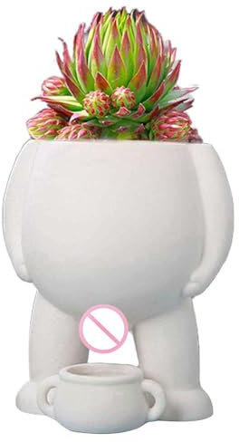 Dirfuny Lustiger Topf – dekorativer Blumentopf Pinkelvase Blumentöpfe | Keramik-Neuheit mit Drainagelöchern für Sukkulenten, Blumen, Zimmerpflanzen, Außengarten