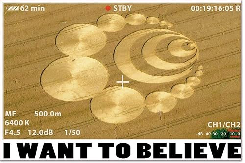 1art1 Kornkreise Poster I Want to Believe Plakat | Bild 91x61 cm