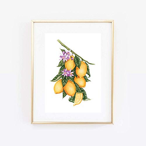 Din A4 Kunstdruck ungerahmt Zitrone Limone Obst Frucht Früchte Esszimmer Küche Druck Poster Bild