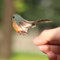 12PCS Christmas Tree Pendant Robin Bird Festive Season Essential Robin Bird Christmas Tree Craft