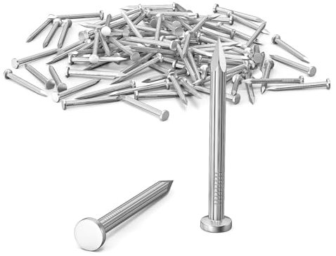 Clavos de Acero 40mm, 50pcs Clavos Para Paredes de Hormigón, Clavos Galvanizados, Clavos, Carpintería, Ladrillo, uso Universal en Interiores y Exteriores (Plata)