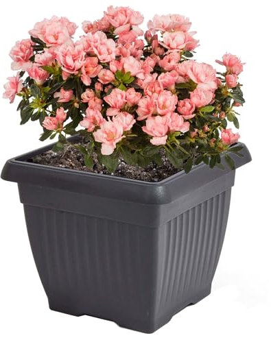 botle Blumentopf, Blumentopf, Blumenkasten, quadratisch, mit Rillen 30 x 30 cm H 25 cm Anthrazit Kunststoff klassisch, zeitlos, perfekt für Zuhause, Balkon, Terrasse, Garten