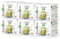 foodNess, 6 Box da 10 Capsule da 12g l'una, Bevanda al Pistacchio, Gusto Unico e Intenso, Ideale per Macchine comp. con sistema Dolce Gusto