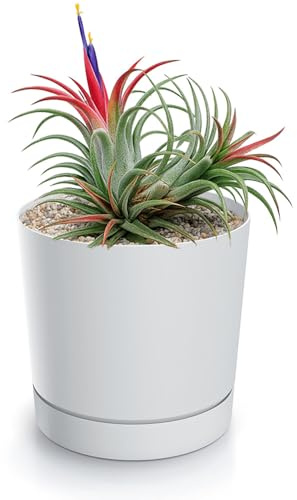 magubo Blumentopf mit Untersetzer, Übertöpfe für Zimmerpflanzen, Pflanzkübel, Übertopf Kompakt, 24 cm Durchmesser, Elegantes Design für Innen- und Außenbereich (Weiß, 240)