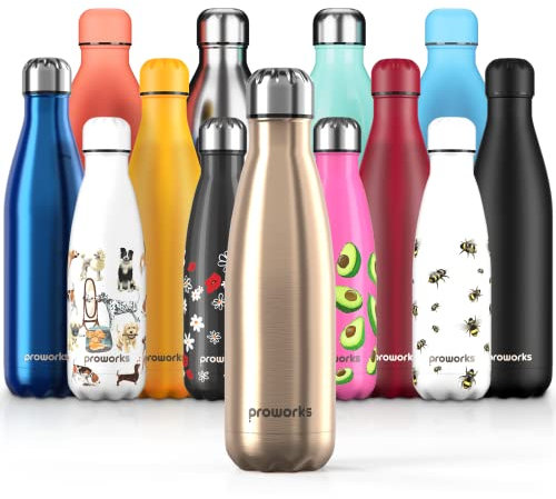PROWORKS Bouteille d'eau Isotherme, sans BPA, Gourde INOX Reutilisable pour Maintien Chaud de 12 Heures & du Froid Jusqu’à 24 Heures, pour Sport, Gym, Voyage - 500ml - Or