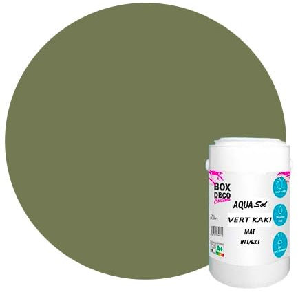 BOX DECO COULEURS Peinture Sol extérieur/intérieur acrylique haute résistance aspect mat Aqua Sol - 1Kg, Vert Kaki