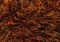 King Cole Tinsel Strickwolle, grob, 50 g, 1994 Foxy von Tinsel