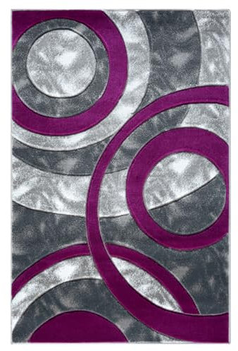 Fit Even Area Rugs - Large Fluffy Rug Carpet Washable Non-Slip Soft Modern Indoor Shaggy Floor Rug for Living Room, Bedroom, Hallway, Lounge – (Purple, 120cm x 170cm)