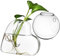 PRETYZOOM 2er-Pack Hängende Pflanzenhalter Aus Glas Pflanzen-terrarienständer Wandhalterung Glasvase Für Zimmerpflanzen Und Terrarien