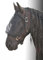 Amesbichler Reitsport Harry`s Horse Fliegenmaske mit integriertem Halfter, schwarz