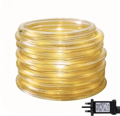 ANSIO® Christmas Lights - 100 LED 10m Warm White Rope Lights, Indoor & Outdoor with 8 Modes for Christmas Decorations & Garden Parties - Mains Powered