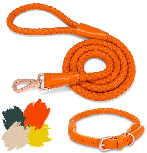 Hundehalsband und Leine, weiches Leder, stilvoll, robust, geflochten, wasserdicht, robuste rotgoldene Schnalle, 1,2 m, für große, mittelgroße und kleine Hunde, Spaziergangstraining (Orange, S)