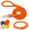 Hundehalsband und Leine, weiches Leder, stilvoll, robust, geflochten, wasserdicht, robuste rotgoldene Schnalle, 1,2 m, für große, mittelgroße und kleine Hunde, Spaziergangstraining (Orange, S)