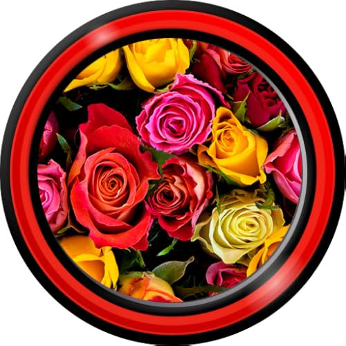 Popular Ringtones Studio