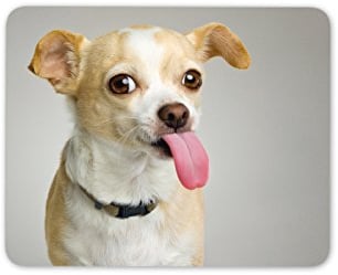 Destination Vinyl Ltd Cute Chihuahua Dog Mouse Mat Pad - Chi Chihuahueño Cool Fun Gift Computer #8641