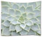 A.Monamour Wanddekor Wohnaccessoires Deko Wandteppiche Weiß Kaktus Sukkulenten Textur Hintergrund Stoff Wandbehang Tapisserie Wanddekore Für Schlafzimmer Wohnzimmer 102X153 Cm / 40 X 60