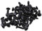 MATTRESS 50X Gitarren Schrauben Teile für Scratchplate Pickguard, Schwarz