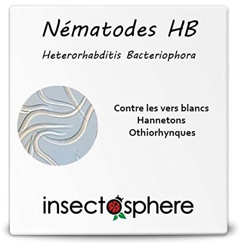 Nématodes Hb contre les vers blancs, larves de hannetons et d'otiorhynques. 25 Millions pour traiter 50 m². Traitement biologique et naturel