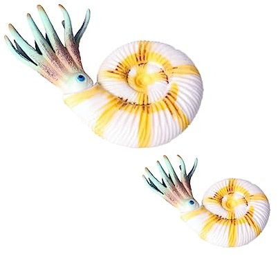 DIKACA Lernspielzeug Für Kinder Modell Spielzeug Nautilus-Handwerk Tier Kind Tierstatue
