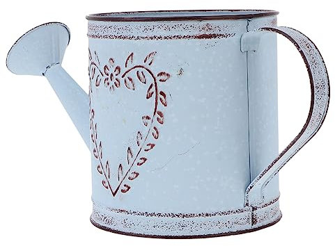 INOOMP macetero Antiguo florero jarrón campestre Mini regadera pava regadera Antigua aspersión de Agua Puede Las Flores Botella de riego balde de riego Jarra Oficina Metal Planchar