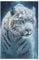 Puzzles Für Erwachsene Und Kinder, Weißer Tiger -Puzzle, 1000 Teile, Kreative Holzpuzzles, Puzzles Für Erwachsene, Geschenke 78×53cm