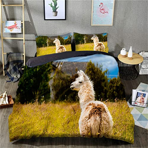 TXZSTGB 3D-gedruckte Bettwäsche, Bettbezug, langes Bettbezug-Set, doppelt, Unisex, atmungsaktiv, Tagesdecke, Bettwäsche-Set (King-Size-Größe 220 x 240 cm, 1 Bettbezug + 2 Kissenbezüge)