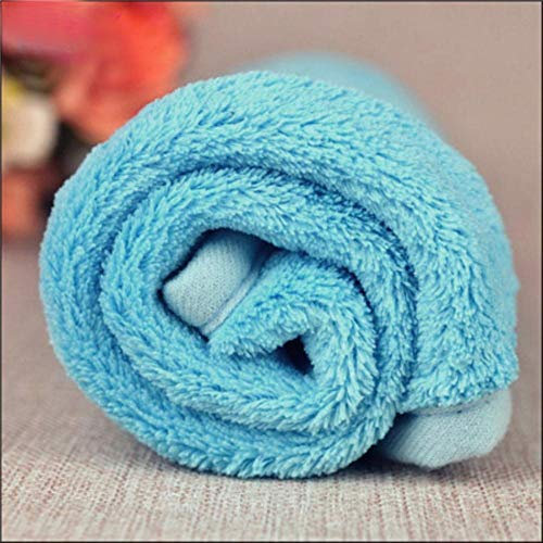 PENVEAT 38 * 58 cm Haustier Hund Welpe Katze Matte Weiche Fleece Decke Quilt Bett Kissen Pad Doggy Winter Dusche Wrope Tuch # LR2, blau, M, Vereinigten Staaten