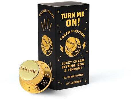 Luckies - Turn Me On | Guitar Desk Ornaments | Music Gifts & Guitar Gifts For Men | Quirky Gift For Men & Music Gift | Desk Gadgets & Small | Boyfriend Him