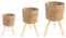 IDIMEX Pflanzkorb Tonga 3er Set Natur – Pflanzkörbe aus Seegras mit abnehmbaren Beinen, Übertopf Rattan, Zimmerpflanzen Blumenständer
