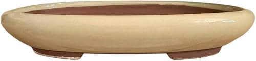 BIOMATA Maceta Bonsai Ceramica para Kifu 22,8x17,3x4,2 cm | Tiesto Ovalado | Maceta para Bonsai Resistente a Cualquier Clima | Tiesto Ceramica con Drenaje (Crema)