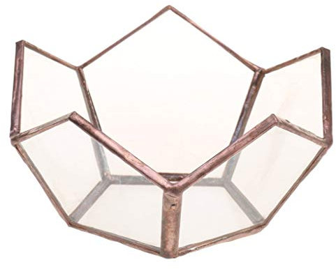 Tubayia Mini Terrarium géométrique pour Plantes succulentes