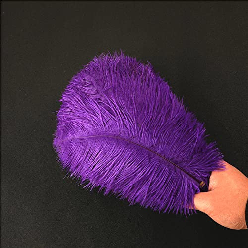 10 Stück 25-30cm Natürliche Straußenfedern,Strauß Feder zum Basteln,Bastel Federn für DIY Traumfänger Zubehör,Heimdekoration,KostüMe,Tischdeko Hochzeit Party Fest Hüte Kleidung Dekoration,Violett