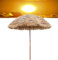 200CM/2M Stroh Sonnenschirm Hawaii Schirm mit Fransen, Rund Tragbarer Toller Gartenschirm Strandschirm, Kippbar