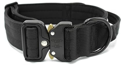 Paulde Hundehalsband mit Griff und Metall-Schnalle, Verstellbar, Hochwertig und Strapazierfähig, Ideal für Training und Alltag (Schwarz, XL: 45-65 cm, Breite 3,8 cm)