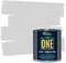 The ONE All-In-One Paint & Primer - Light Grey Satin, 1 L | Multi-Surface 1 Coat Formula | Easy Indoor & Outdoor Decorating for Home & Garden Walls, Floors & Furniture | Durable, Water-Based & Low VOC