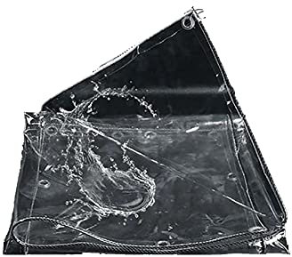 AWSAD Schermo Antipioggia, Grondaia, Schermo in Plastica, Balcone, Antipioggia Trasparente, Baldacchino per Finestre Domestiche (Color : Clear, Size : 1.6mx2m)