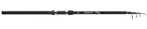 Saenger Skymaster Tele 60 3,30m 30-60g