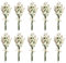 PATIKIL Mini Ramo de Flores Secas, 10 Pzas de Nomeolvides Natural con Tallo Decoración de Flor Boho Planta Floral para Manualidades DIY Accesorios de Foto Regalo Decoración de Boda, Blanco