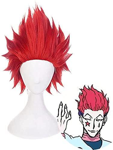 PerüCken FüR Hunter x Hunter Hisoka, Erwachsene Haarteile Anime Cosplay Requisiten ZubehöR, Anwendbarer Anlass Halloween Party Karneval Nachtleben