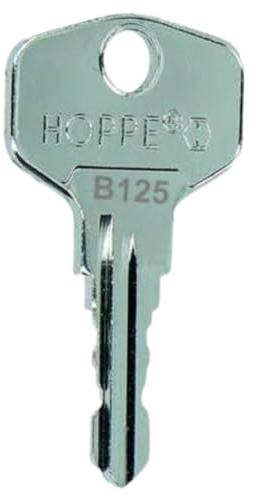 bayesen Ersatzschlüssel Nachschlüssel - Präzise Gefräst & Kompatibel mit BURG-WÄCHTER - Passgenau für Briefkasten, Hebelzylinder, Möbel [Code B082]