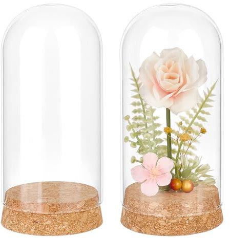 BENECREAT 2 cloche Dôme en Verre Pots Décoratifs en Verre de 130x65mm avec Base en Liège pour Plantes à Fleurs Décorations Artisanales ID : 6.1cm