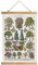 XIAOAIKA Vintage Baum Poster mit Holzrahmen, Retro Stil Wanddekoration Kunst Malerei, Muster gedruckt auf Leinen ohne Verblassen, fertig zum Aufhängen (50 x 75 cm)