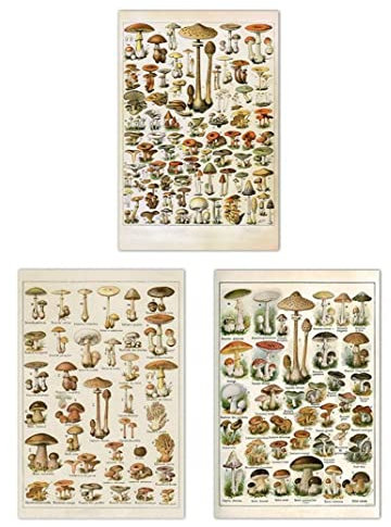3 Stücke Vintage Pilz Poster Leinwand Kunst Poster Wandkunst Bild Drucken Modernes Schlafzimmer Dekoration