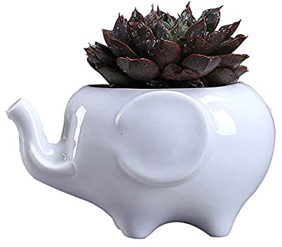 ALMAK Elefant Keramik Blumentopf Sukkulenten Blumentopf Container Dekoration für Home Office Garden Home Office Garden