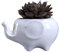 ALMAK Elefant Keramik Blumentopf Sukkulenten Blumentopf Container Dekoration für Home Office Garden Home Office Garden
