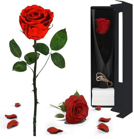 DASIAUTOEM Rosa eterna Regalo da donna, vera rosa eterna con gambo, fiore naturale conservato al profumo rosa, fiore eterno regalo donna mamma nonna, compleanno matrimonio salone