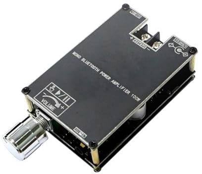 SAROAD Modulo amplificatore audio Bluetooth da 100 W con scheda audio mono-digitale con amplificatore di potenza per home theater, 1 set