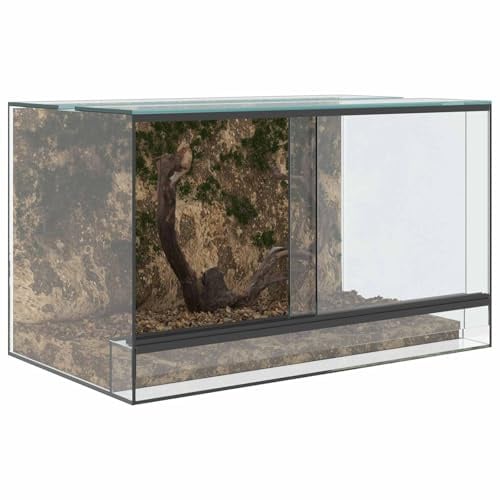 vidaXL Terrarium mit Speicher Transparent 50 x 30 x 30 cm Glas