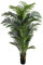 Seidenblumen Roß Hawaiipalme 120cm DA künstliche Zimmerpalme Palmen Kunstpalmen Kunstpflanzen Dekopalme